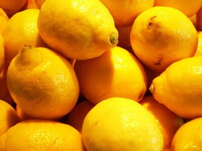 Що станеться з організмом, якщо їсти лимони щодня: для яких органів корисно 