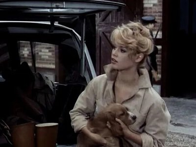 Бріджит Бардо та десятиліття боротьби за життя тварин: якою була головна місія легендарної акторки