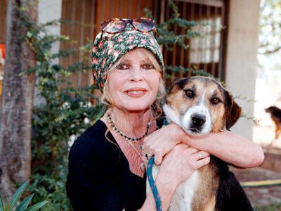 Померла легенда французького кіно Бріджит Бардо: що відомо