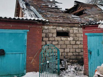 Росіяни продовжують вбивати худобу та лякати жінок на Харківщині