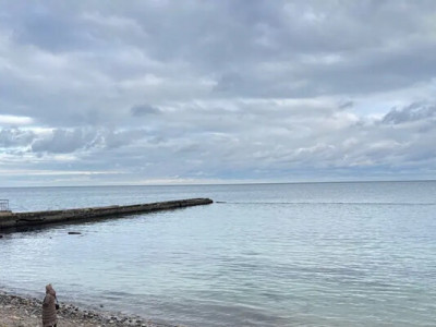 Розлив олії в море: що зараз із забрудненням пляжів Одеси