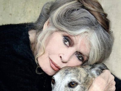 Бардо, всупереч волі, поховають на морському цвинтарі. Церемонія буде закритою, а місце – засекреченим