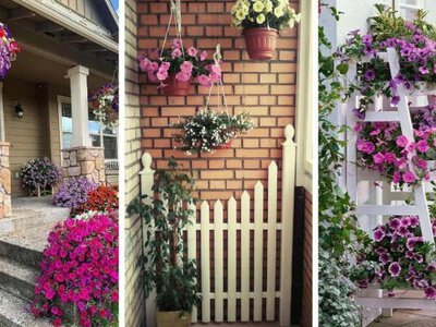 Як прикрасити фасад будинку квітами у горщиках: 12 ідей для сонця й тіні 