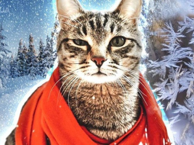 Вперше за 10 років: синоптик про погоду у новорічну ніч і 1 січня