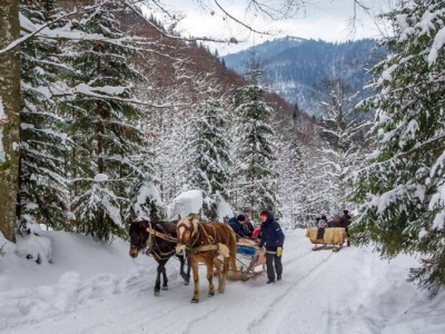 Синевирська Поляна - одне з найкращих туристичних сіл у світі