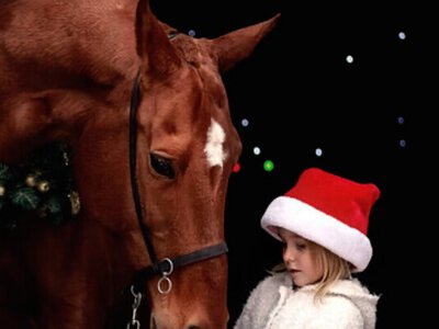 Не 1 січня: стало відомо, коли офіційно почнеться Рік Коня за східним стилем