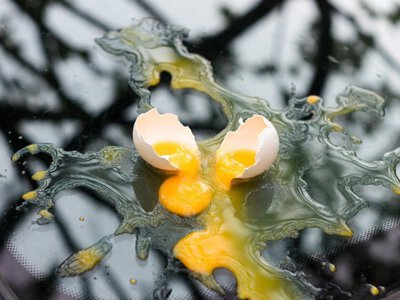 Побачили розбите яйце на склі - біжіть: водіїв попередили про новий злодійський трюк