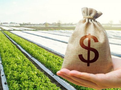 Таємний бум на ринку землі: підсумки 2025 року