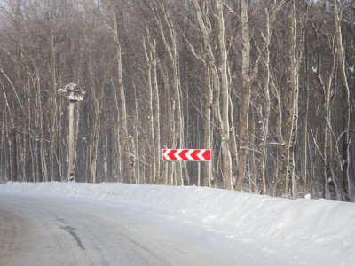 Синоптики попереджають про ожеледицю та хуртовини на Закарпатті