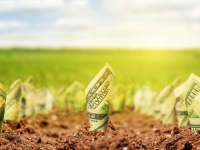 Нова податкова декларація у 2026: як агробізнесу звітувати за оренду державних земель