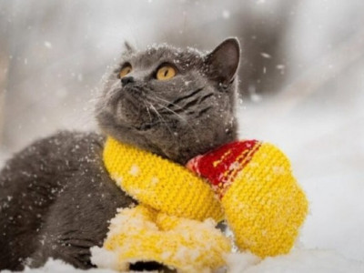 Сніг, дощ і ожеледиця: прогноз погоди на тиждень