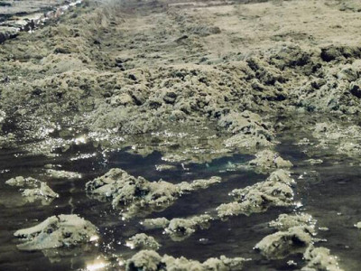 путін ігнорує мирні зусилля США: Сибіга про російський удар по американському заводу в Дніпрі