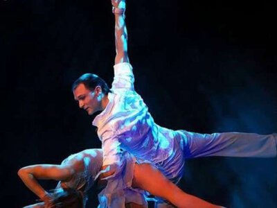 Шоу завершилося трагедією: повітряний дует з України зірвався під час виступу в Німеччині