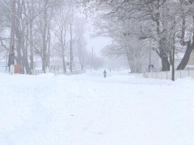 Мороз і ожеледиця: якою буде погода на вихідних