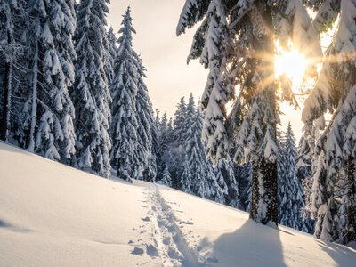Лютий мороз до -17°C і снігопади: погода на вихідні 10-11 січня