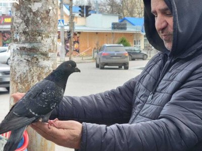 Людяність серед жорстокої реальності: як херсонці рятують тварин
