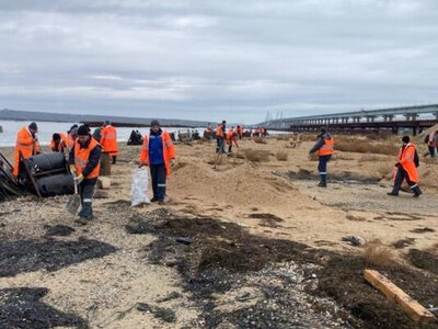 Мазут чекає свого часу. Кримські екологи оцінили наслідки від російських танкерів, що затонули рік тому в Керченській протоці