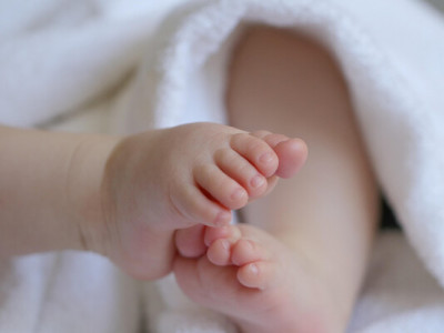 З 2026 року змінився порядок отримання дитячих виплат: основні нововведення