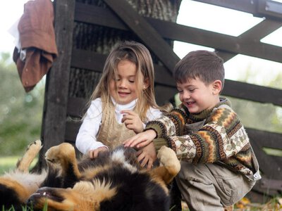 Що може нашкодити тварині на дачі: перевірте свій двір просто зараз