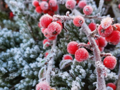 Морози до −17 градусів та ожеледиця: прогноз погоди