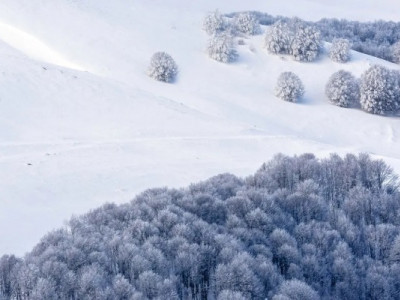 День святителя Григорія 10 січня: що не можна виносити з дому та як притягнути багатство 