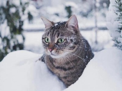 Коли в Україні знову потеплішає: у Гідрометцентрі назвали дати