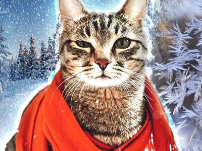 Морози триматимуться до середини тижня: коли чекати потепління