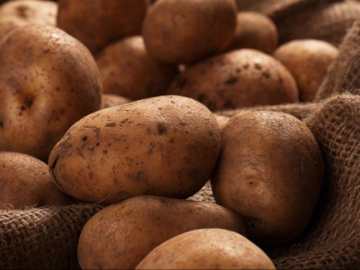 Як правильно зберігати картоплю: декілька практичних порад