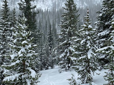 Якого числа Старий Новий рік 2026 та чи треба його святкувати