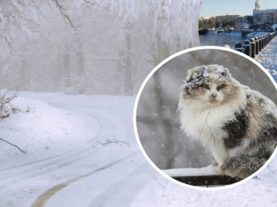 Мороз сягне 20 градусів: синоптики оновили прогноз на тиждень