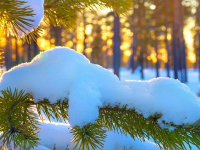 Морози не відступають: яка буде погода до кінця тижня