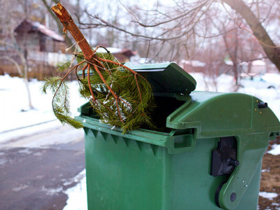 Ялинкова утилізація: що роблять із новорічними деревцями в селах