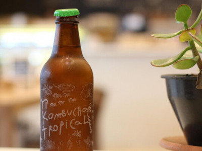 Готуємо комбучу вдома: корисний напій з чайного гриба, від якого всі фанатіють