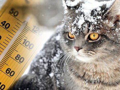 Синоптики попереджають про нову небезпеку