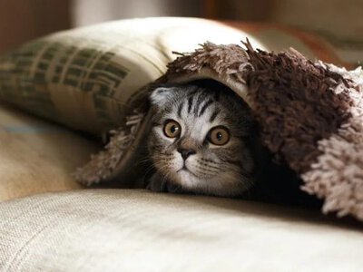 +18 °C навіть за -10 °C на вулиці: як зберегти тепло в квартирі під час