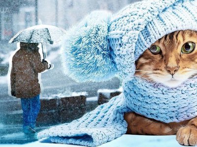 Коли морози відступлять: коли в Україні прогнозують різкий стрибок температури