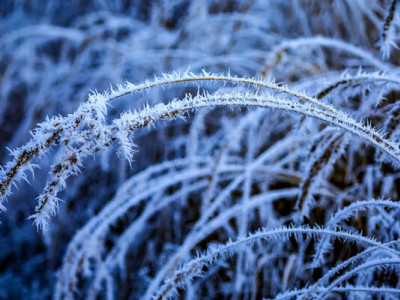 День чаклунів та «перелом зими»: чому 15 січня вважали найнебезпечнішою датою січня 