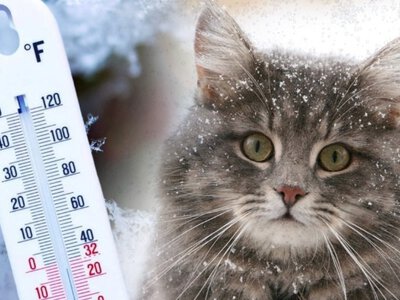 Морози не відступають: коли українцям чекати на потепління