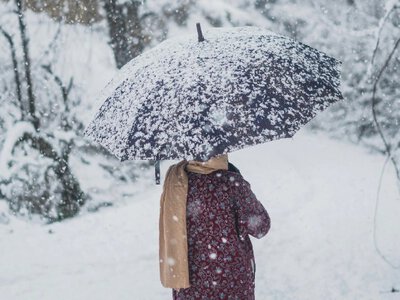 Морози не відступають: якою буде погода в Україні