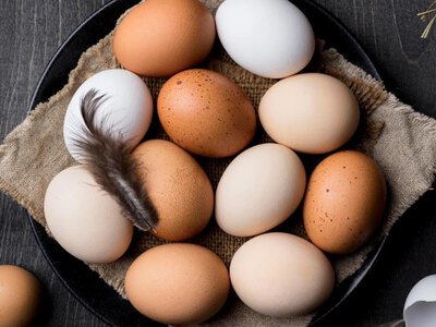 Британія відкриває ринок: як довго українська курятина залишиться без мита