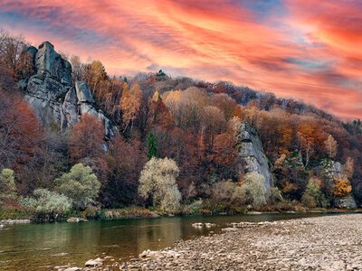 Нова пам'ятка природи на Стрийщині: що ховається за 270 гектарами