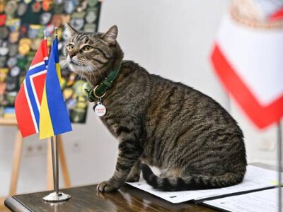 Берген нове місто-побратим Львова - У Ратуші підисали угоду про співпрацю