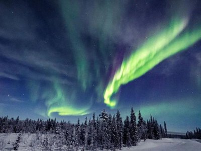 В Україні зафіксували рідкісне на наших широтах явище