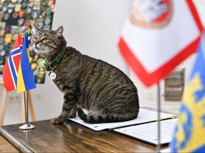 На що піддані Садового витратили 184 тисячі гривень