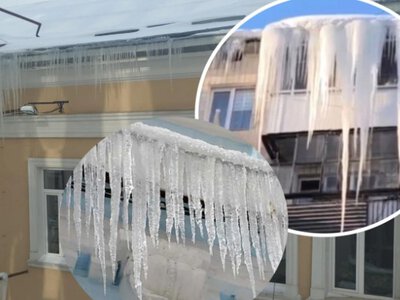 Жінка в Тернополі не пускає комунальників збити бурульку та знімає відео про її життя