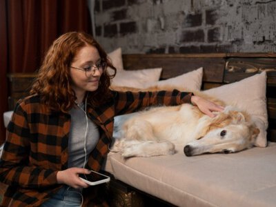 5 секретів, щоб кіт чи собака чекали вас спокійно