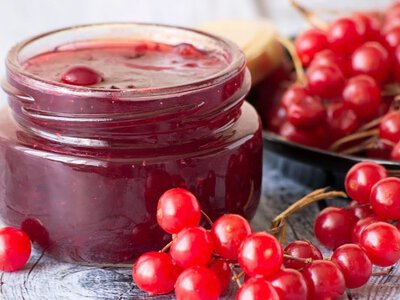 Що приховує калина? Секрети здоров'я, які вас здивують