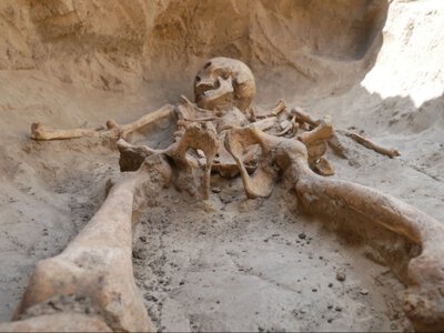 Скіфський могильник в Україні здивував вчених