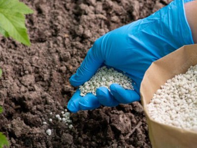 Що ви не знали про мінеральні добрива: міфи і реальна користь