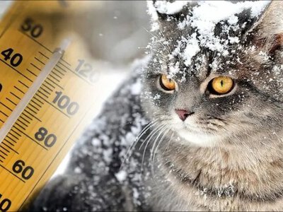 Морози відступають: якою буде погода у найближчий час